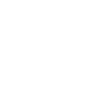 network icon